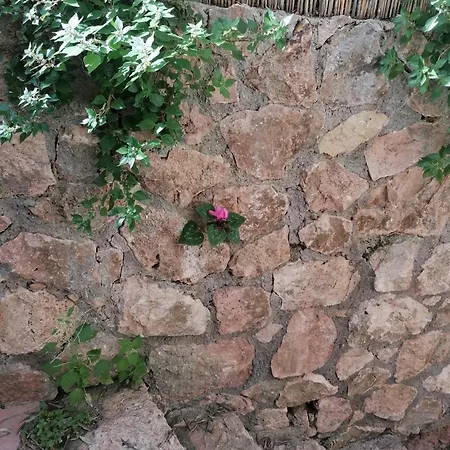 Panoramica Flat